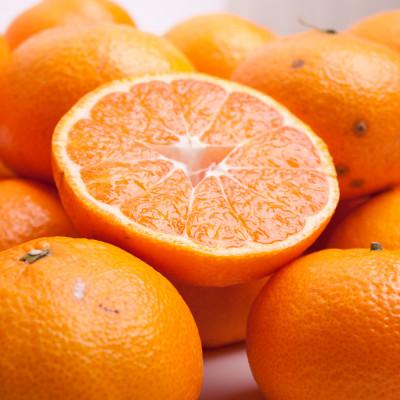 ふるさと納税 上富田町 家庭用　大玉な有田みかん5kg+250g(傷み補償分)【訳あり】【光センサー選果】 | 