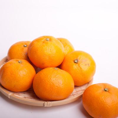ふるさと納税 上富田町 家庭用　大玉な有田みかん5kg+250g(傷み補償分)【訳あり】【光センサー選果】 |  | 01