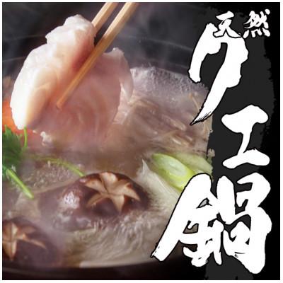 ふるさと納税 橋本市 天然クエ鍋セット 肉厚&amp;コラーゲンたっぷり