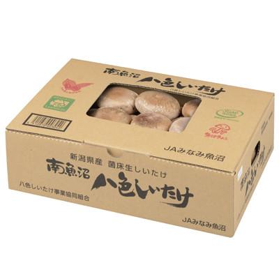 ふるさと納税 南魚沼市 厚いにもほどがある「八色しいたけ」1kg |  | 01