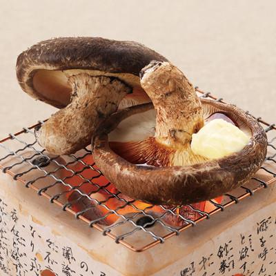 ふるさと納税 南魚沼市 厚いにもほどがある「八色しいたけ」1kg
