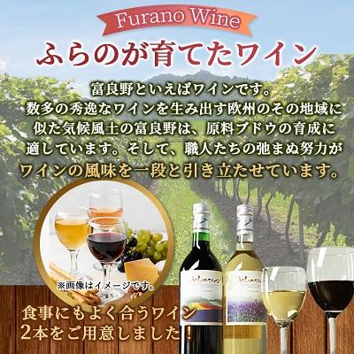 ふるさと納税 富良野市 ふらのワイン (赤・白)720ml×2本セット |  | 01