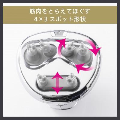 ふるさと納税 燕市 ツインバード 防水ヘッドケア機 ( TB-G001JPPW
