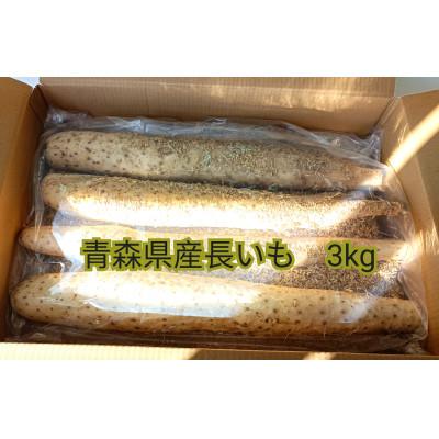 ふるさと納税 十和田市 [十和田自慢]青森県十和田市の逸品! 長いも3kg入り(2本〜4本入り)