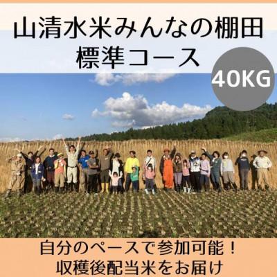 ふるさと納税 十日町市 [棚田オーナー]山清水米みんなの棚田 標準コース