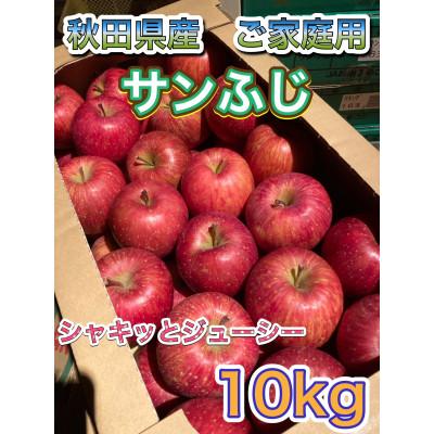 ふるさと納税 横手市 秋田県産 ご家庭用 サンふじりんご 約10kg(32玉〜48玉前後)