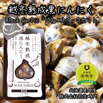 ふるさと納税 美唄市 [株式会社弥生時代]越冬熟成黒にんにく100g×3パックセット[Lサイズ片]