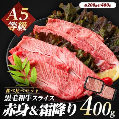 ふるさと納税 指宿市 A5等級鹿児島県産黒毛和牛2種のスライスセット400g(カミチク)IB112-010