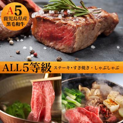 ふるさと納税 指宿市 ALL5等級鹿児島県産黒毛和牛(033-1196)