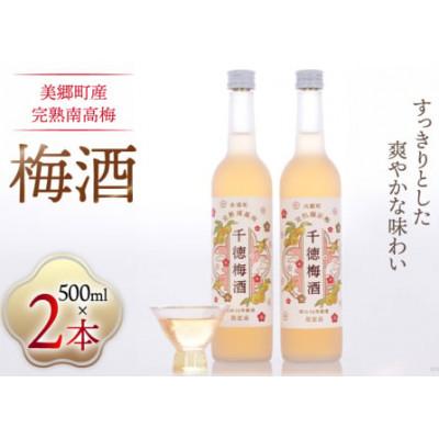 ふるさと納税 美郷町 [日本酒仕込み]千徳梅酒 500ml×2本