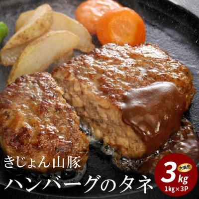 ふるさと納税 木城町 きじょん山豚 ハンバーグのタネ 3kg