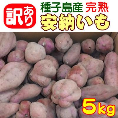 ふるさと納税 西之表市 中園ファームの熟成安納芋(生芋)訳あり品5kg