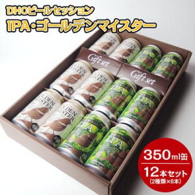 ふるさと納税 御殿場市 御殿場DHCビール2種類×6本セット 12本入『3170』
