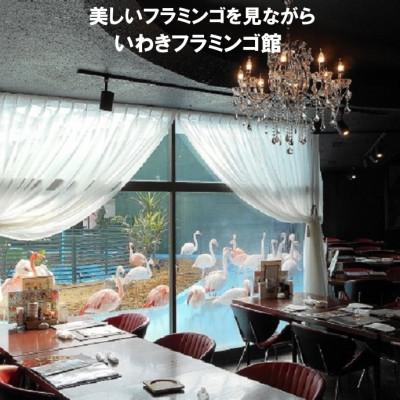 ふるさと納税 いわき市 レストランメヒコいわき市店舗お食事ご優待券3000円分