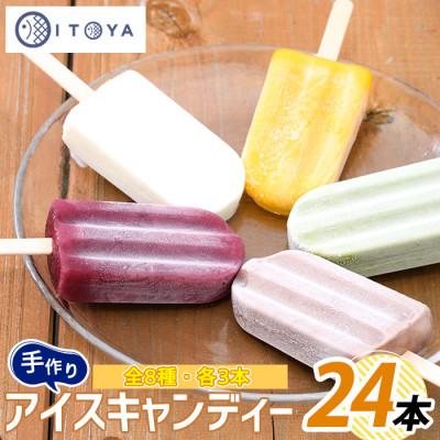 ふるさと納税 指宿市 手作りアイスキャンディー24本(たいやき絲や)IB106-002