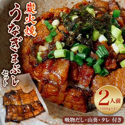 ふるさと納税 岡崎市 御気軽炭火焼うなぎまぶしセット 2人前(100g×2)