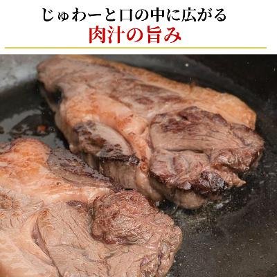 ふるさと納税 北見市 北見エゾシカ熟成肉 シンタマ&内モモステーキ食べくらべセット( 計700g ) |  | 01