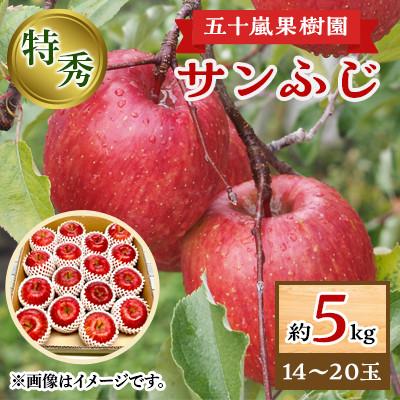 ふるさと納税 横手市 [五十嵐果樹園]サンふじ 特秀約5kg(14〜20玉)
