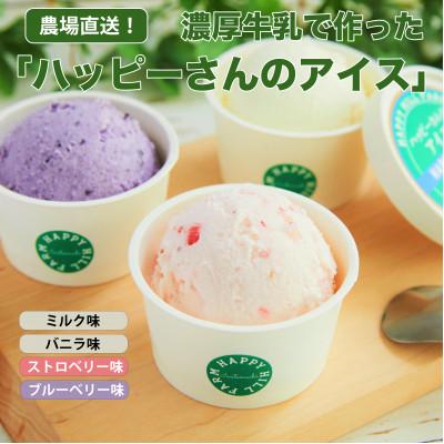 ふるさと納税 岩手町 ハッピーさんのアイス 4種類6個入り