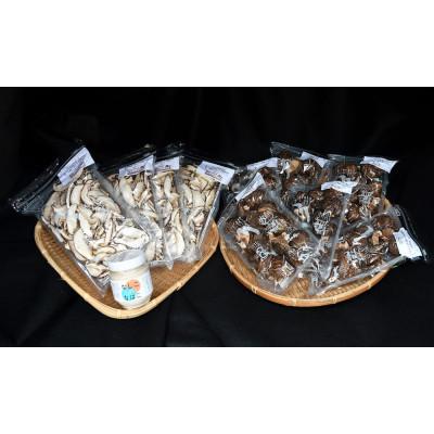 ふるさと納税 豊後大野市 小町のよくばりセット(どんこ椎茸・干ししいたけ・原木栽培・大分県豊後大野市産)