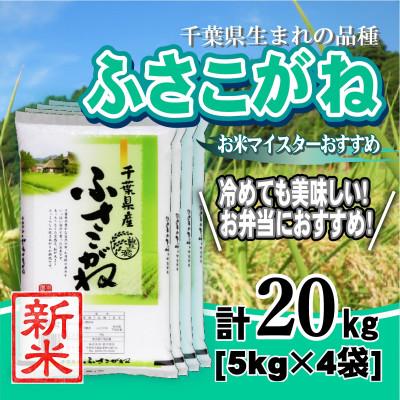 ふるさと納税 大網白里市 【新米 令和8年産】千葉県産「ふさこがね