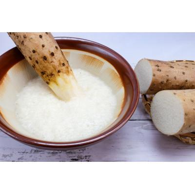 ふるさと納税 長野市 [訳あり]松代産長芋 農家を応援したい思いをお礼品に込めました!