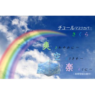 ふるさと納税 那珂川市 [爽 空 楽 さ く ら]チュールマスクカバー1枚と高性能フィルター5枚入り×2セット
