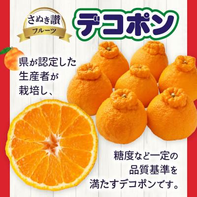 ふるさと納税 三木町 デコポン 約3kg