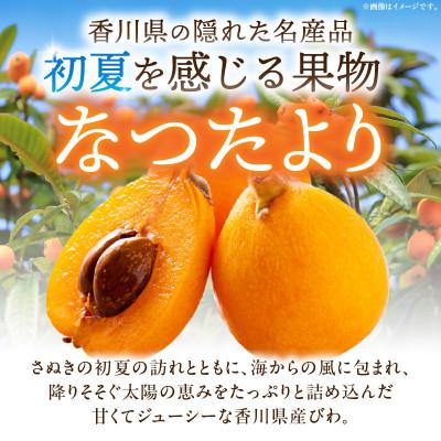 ふるさと納税 三木町 【先行受付2027年】びわ(なつたより)　約1kg |  | 01