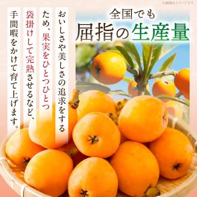 ふるさと納税 三木町 【先行受付2027年】びわ(なつたより)　約1kg |  | 02