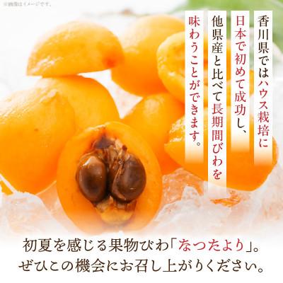 ふるさと納税 三木町 【先行受付2027年】びわ(なつたより)　約1kg |  | 03