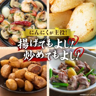 ふるさと納税 三木町 【先行受付2027年】三木町産　訳あり乾燥にんにく　2.8kg |  | 03