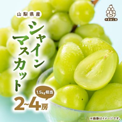 ふるさと納税 山梨市 2027年発送先行受付 厳選 池田青果のシャインマスカット2房〜4房(1.5kg相当)