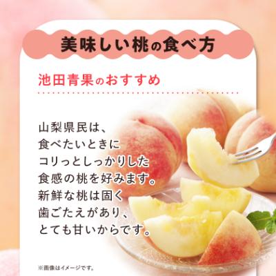 ふるさと納税 山梨市 【2026年発送】 桃 約3kg (8玉〜12玉) 厳選 ! 池田青果の ももの画像