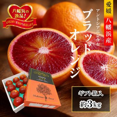 ふるさと納税 八幡浜市 2027年3月出荷開始 アントシアニン含有!「ブラッドオレンジ」約3キロ [C39-9]