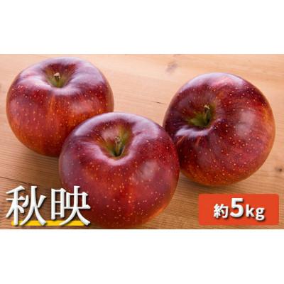 ふるさと納税 千曲市 [2026年発送]信州名月 オバステりんご(秋映)約5kg×1箱