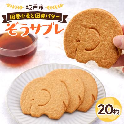 ふるさと納税 坂戸市 ぞうサブレ 20枚入