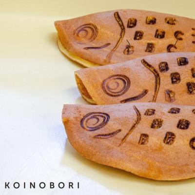ふるさと納税 加茂市 KOINOBORI 2箱セット