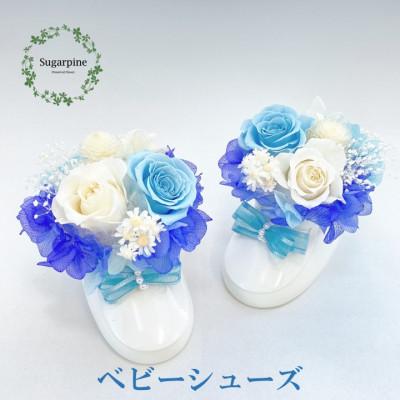 ふるさと納税 春日部市 プリザーブドフラワーアレンジ [レイア]春日部市 シュガーパイン