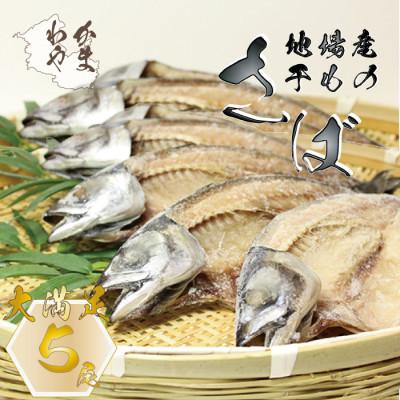 ふるさと納税 美浜町 地元産 さば干物 5尾