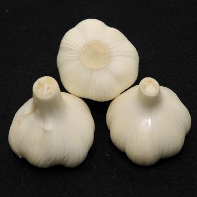 ふるさと納税 さぬき市 香り際立つ「生にんにく」1kg