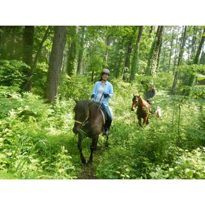 ふるさと納税 小諸市 まきば軽井沢 ほっこり50分乗馬体験1名様