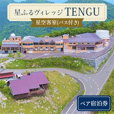 ふるさと納税 津野町 星ふるヴィレッジTENGU 星空客室(バス付き)ペア宿泊券