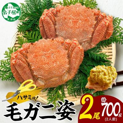 ふるさと納税 弟子屈町 [のし付]毛蟹 姿 2尾 計700g前後 ボイル 蟹ハサミ・ガイド付 北海道 弟子屈町 3334