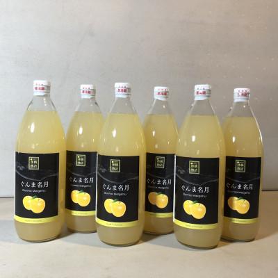 ふるさと納税 沼田市 [ぐんま名月]100%りんごジュース