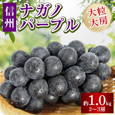 ふるさと納税 長野市 【2026年受付】ナガノパープル皮ごと旨い!大粒大房 2〜3房(約1.0kg) | 