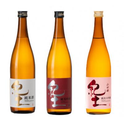 ふるさと納税 海南市 紀土 純米・純米吟醸・純米大吟醸酒 720ml 3本セット