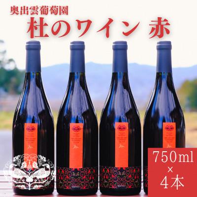 ふるさと納税 雲南市 杜のワイン赤 750ml×4本 辛口ワイン 赤ワイン4本