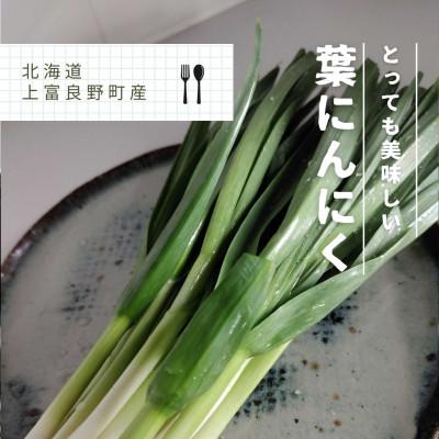 ふるさと納税 上富良野町 希少な葉にんにく 300g×2パック