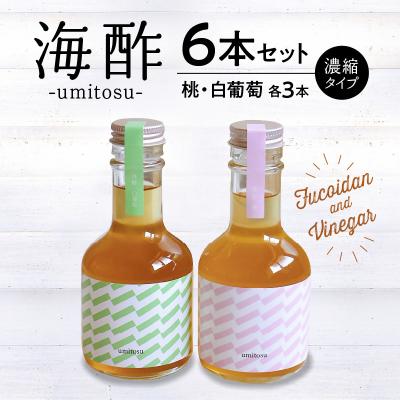 ふるさと納税 久留米市 フルーツビネガー umitosu6本セット(濃縮タイプ)